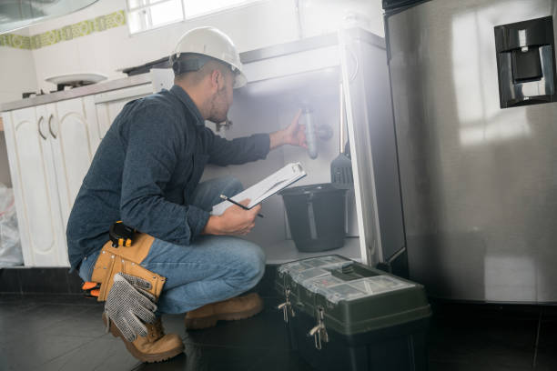 Best Local Plumber Services  in Carbonville, UT